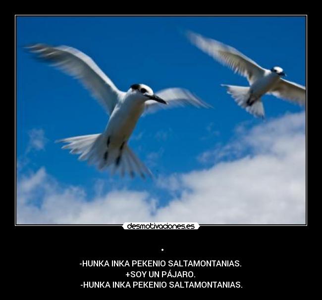 . - -HUNKA INKA PEKENIO SALTAMONTANIAS. 
+SOY UN PÁJARO. 
-HUNKA INKA PEKENIO SALTAMONTANIAS.