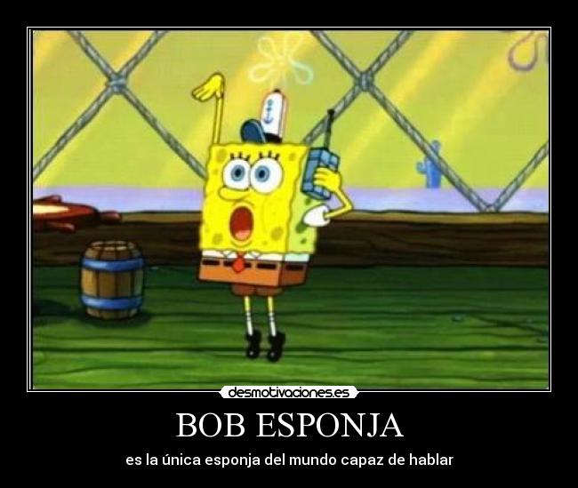 BOB ESPONJA - es la única esponja del mundo capaz de hablar