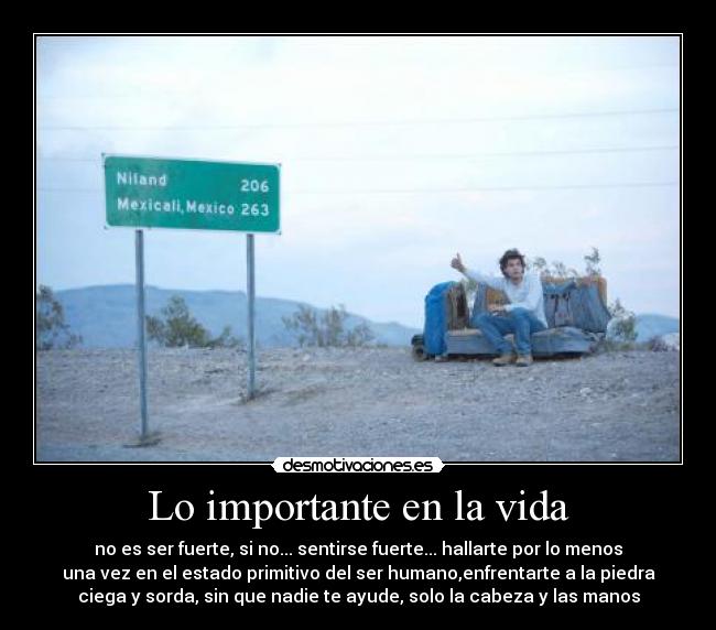carteles vida into the wild desmotivaciones