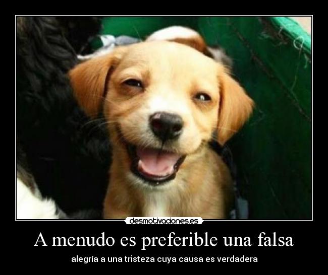 A menudo es preferible una falsa - alegría a una tristeza cuya causa es verdadera