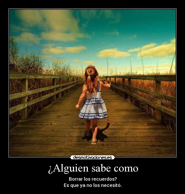 ¿Alguien sabe como - 