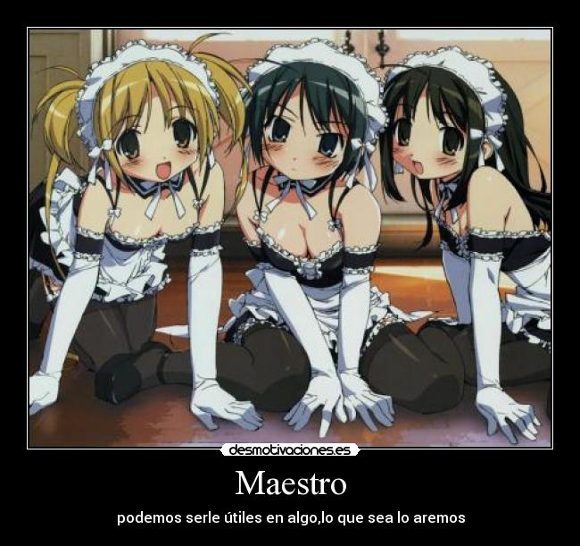 Maestro - podemos serle útiles en algo,lo que sea lo aremos