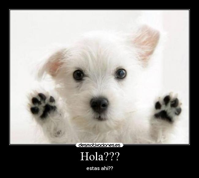 Hola??? - estas ahi??