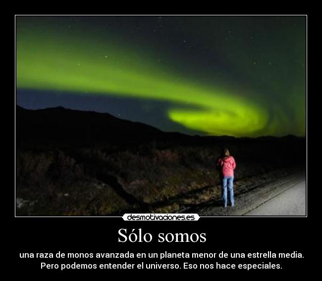 Sólo somos - una raza de monos avanzada en un planeta menor de una estrella media.
Pero podemos entender el universo. Eso nos hace especiales.