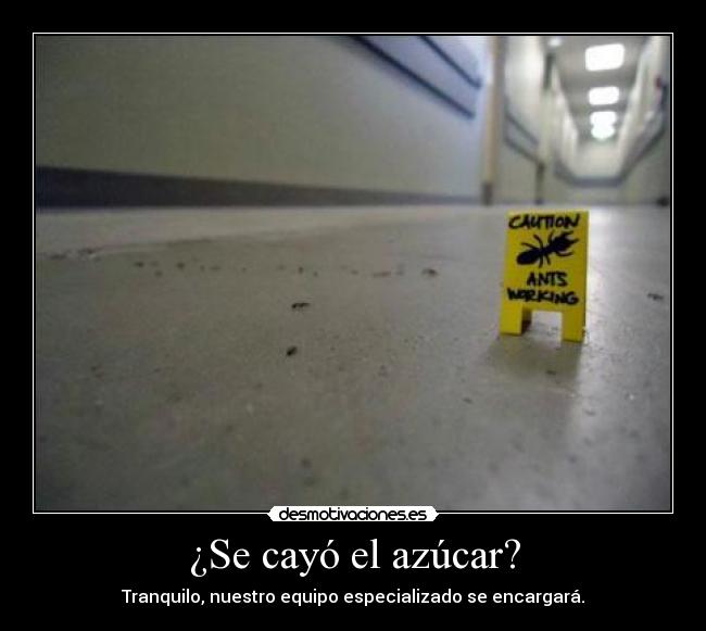 carteles davor safth 123 hace gracia cargamovil desmotivaciones