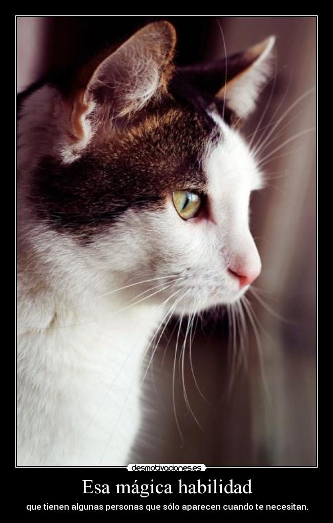 carteles desmotivaciones peace revolution desmotivaciones