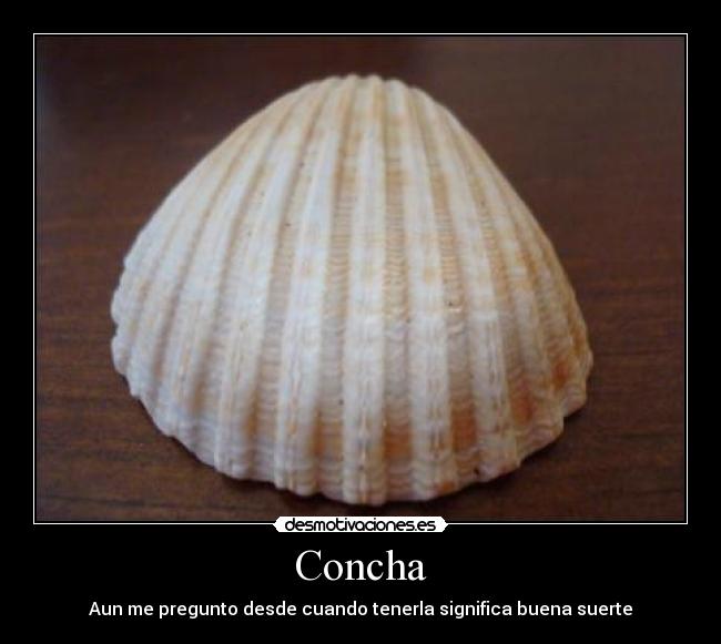 carteles concha tara bolivia desmotivaciones