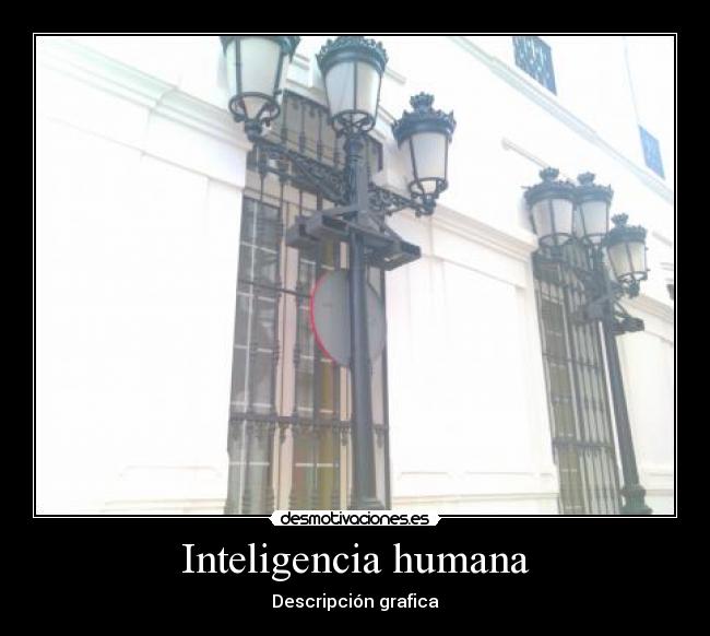 Inteligencia humana - Descripción grafica