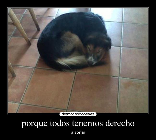 porque todos tenemos derecho - 