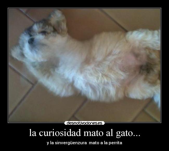 carteles aww lenda desmotivaciones