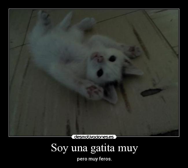Soy una gatita muy -