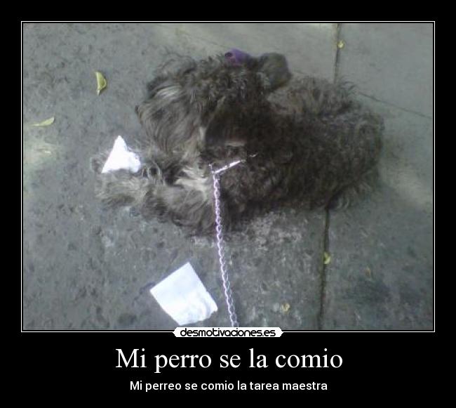 carteles toroo desmotivaciones