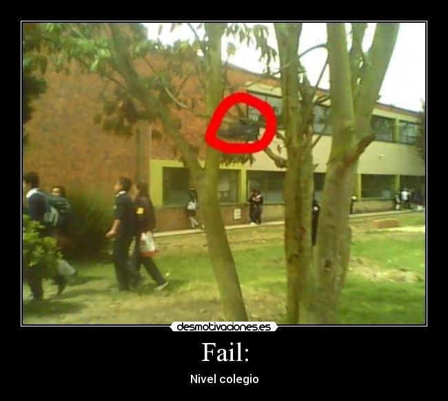Fail: - Nivel colegio