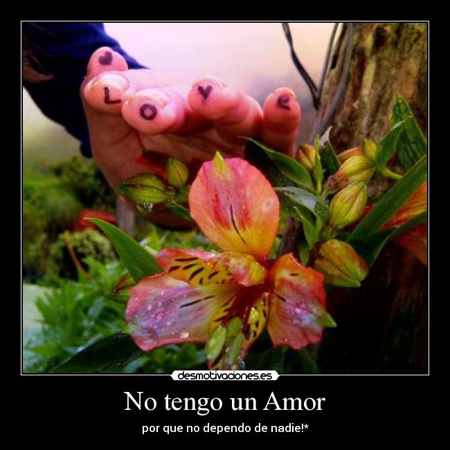 No tengo un Amor - por que no dependo de nadie!*