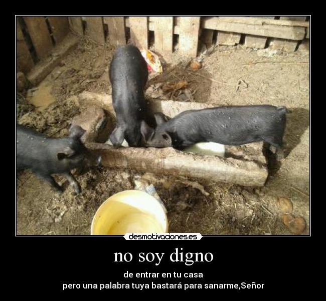 carteles holy bitch desmotivaciones