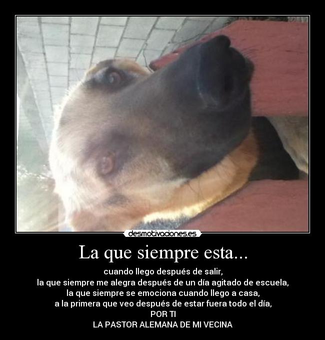 La que siempre esta... -