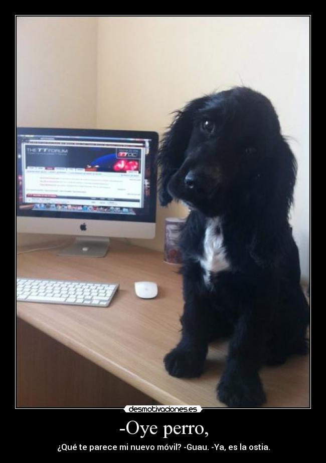 -Oye perro, - ¿Qué te parece mi nuevo móvil? -Guau. -Ya, es la ostia.