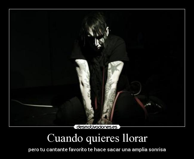 Cuando quieres llorar - pero tu cantante favorito te hace sacar una amplia sonrisa