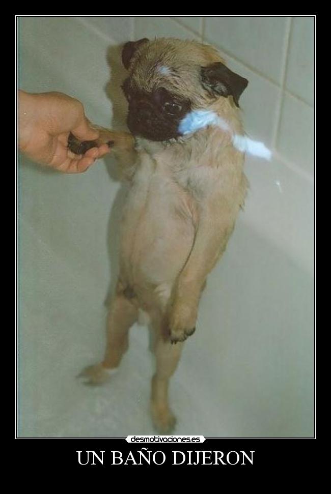 UN BAÑO DIJERON -