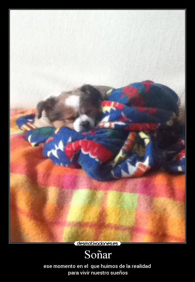 Soñar - 