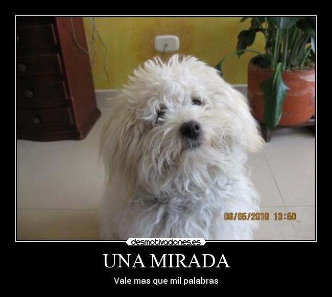 carteles una mirada desmotivaciones