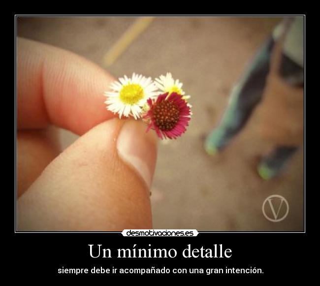 carteles minimo detalle desmotivaciones