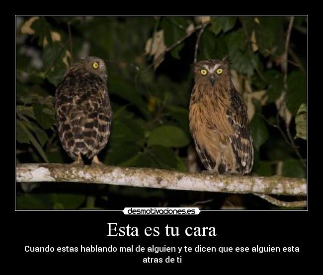 Esta es tu cara - Cuando estas hablando mal de alguien y te dicen que ese alguien esta atras de ti