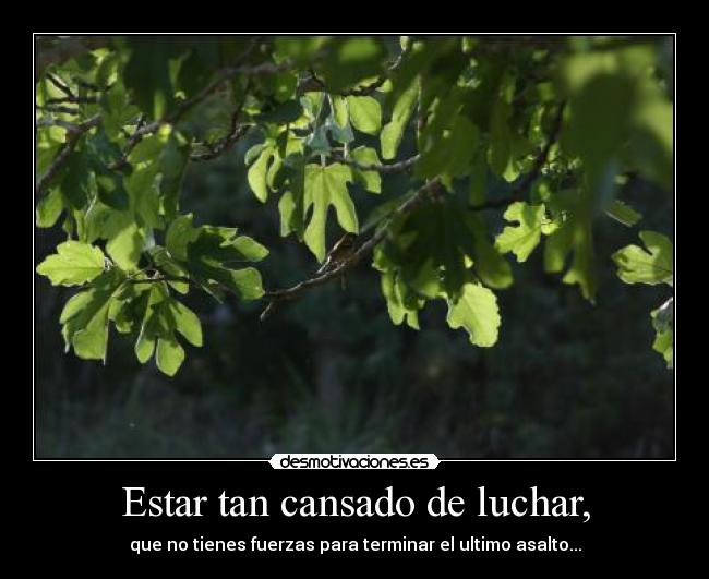 Estar tan cansado de luchar, - que no tienes fuerzas para terminar el ultimo asalto...