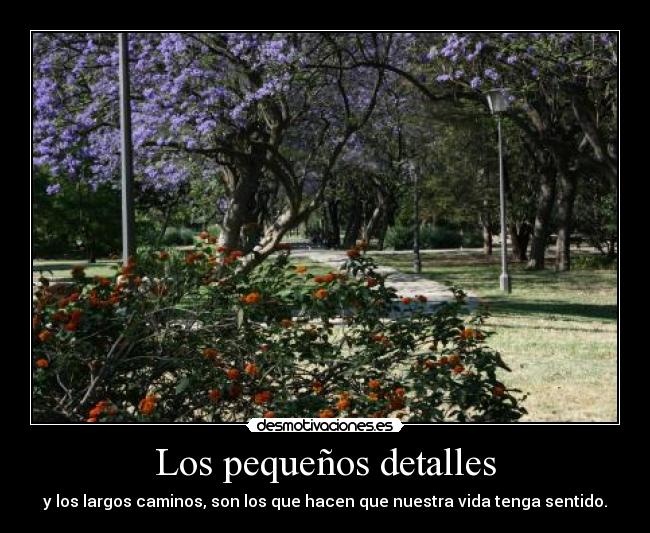 Los pequeños detalles - y los largos caminos, son los que hacen que nuestra vida tenga sentido.