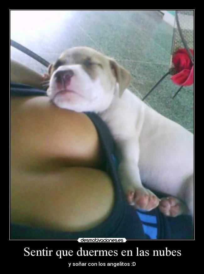 Sentir que duermes en las nubes - 