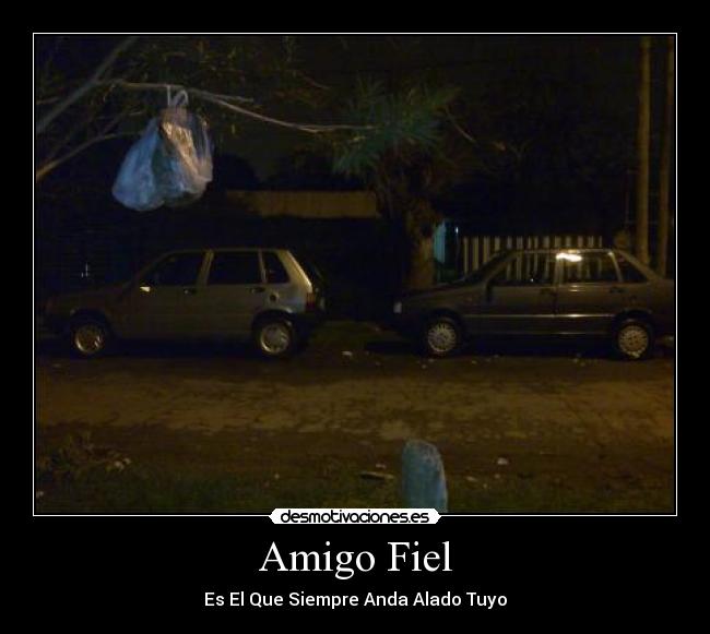 Amigo Fiel - Es El Que Siempre Anda Alado Tuyo♥