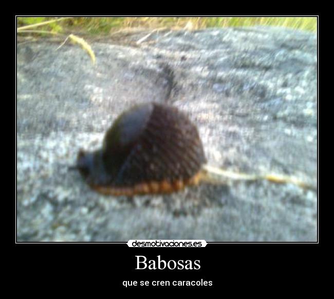 carteles babosas que cren caracoles desmotivaciones