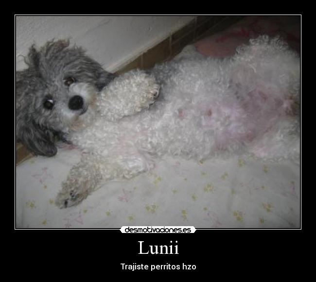 carteles jajaja amo hermosaa desmotivaciones