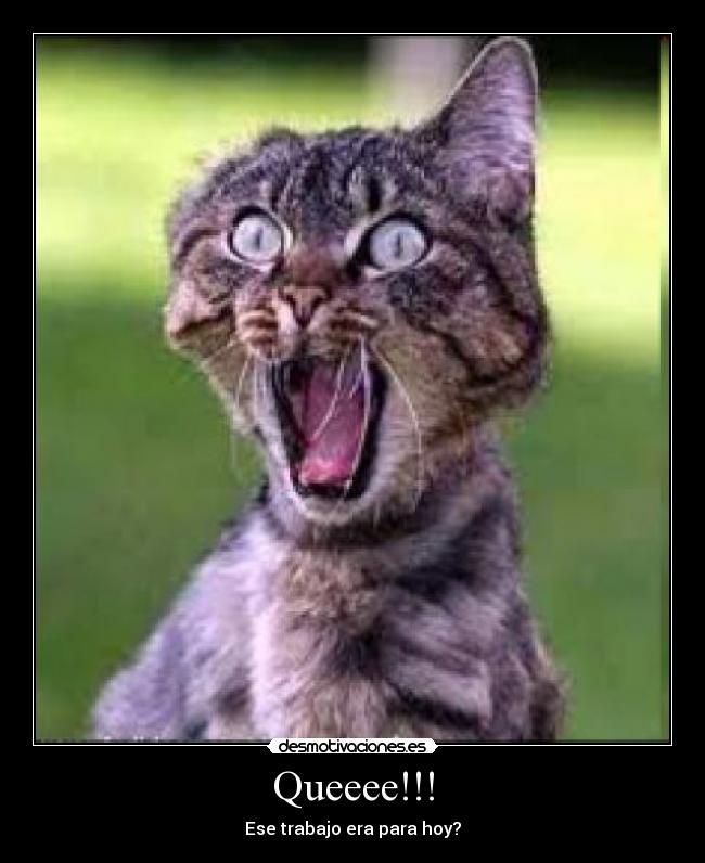 Queeee!!! - Ese trabajo era para hoy?
