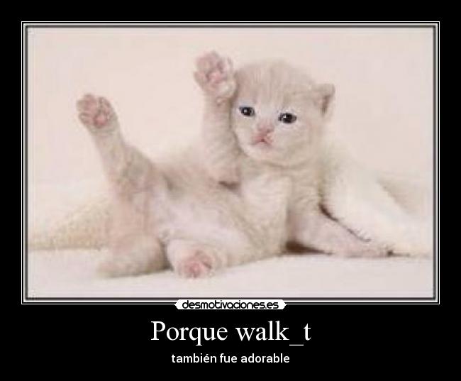 Porque walk_t -