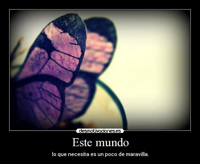 Este mundo -