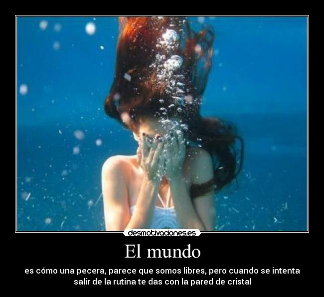 El mundo - es cómo una pecera, parece que somos libres, pero cuando se intenta
salir de la rutina te das con la pared de cristal