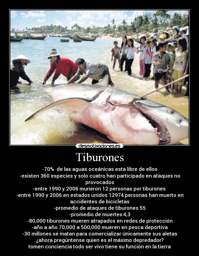 Tiburones - 