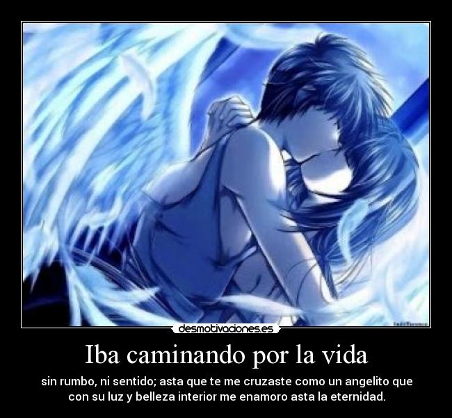 Iba caminando por la vida - sin rumbo, ni sentido; asta que te me cruzaste como un angelito que
con su luz y belleza interior me enamoro asta la eternidad.