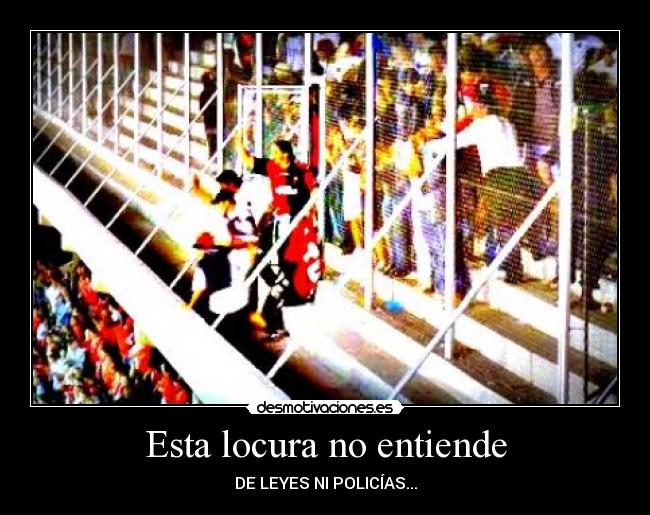 carteles locura desmotivaciones