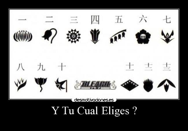 Y Tu Cual Eliges ? -