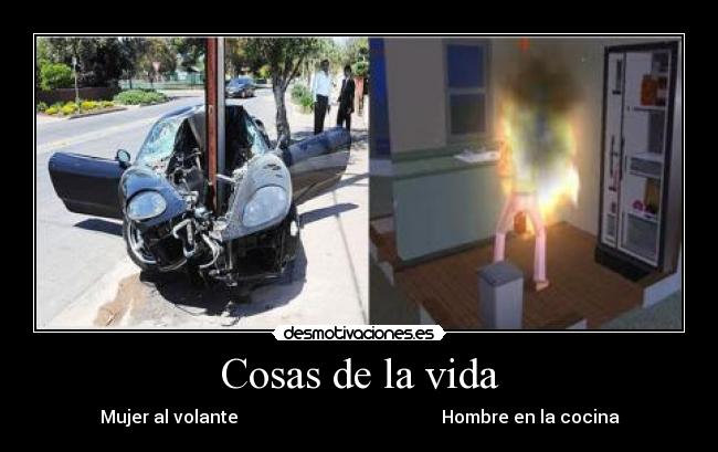 Cosas de la vida - Mujer al volante Hombre en la cocina