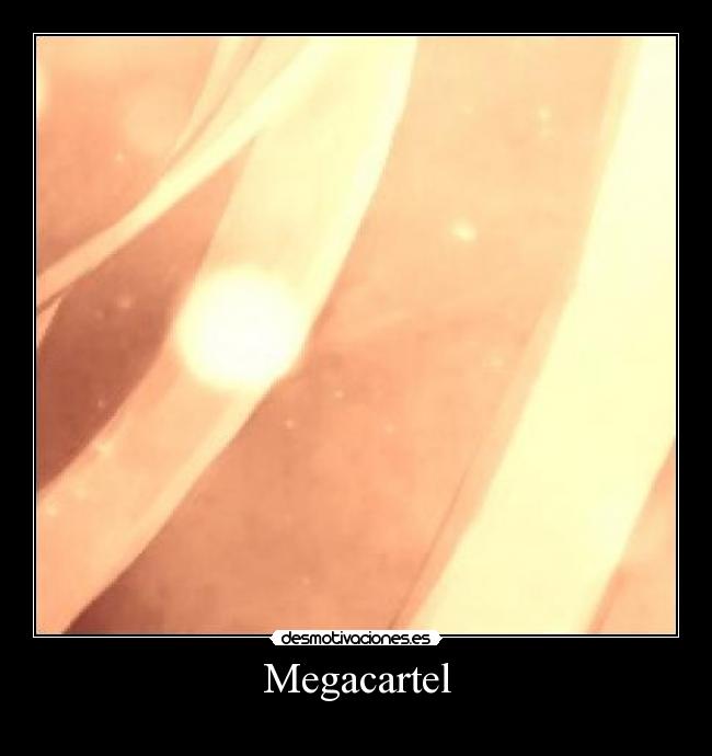 carteles megacartel desmotivaciones