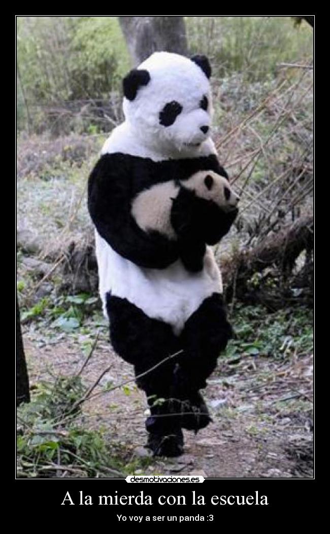 A la mierda con la escuela -