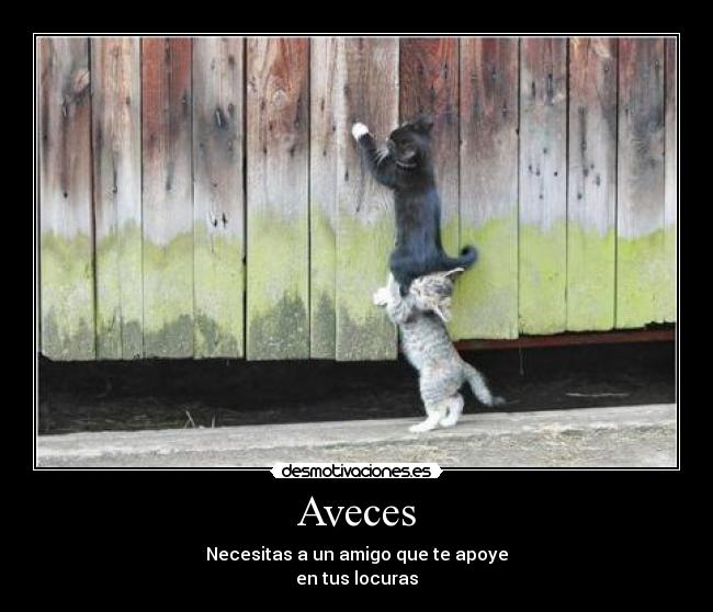 Aveces -