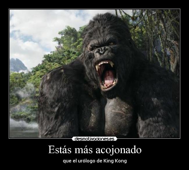 Estás más acojonado - que el urólogo de King Kong