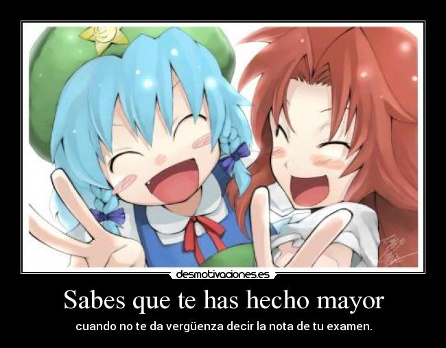 carteles yuhuuuuuuuu touhou cirno mola desmotivaciones