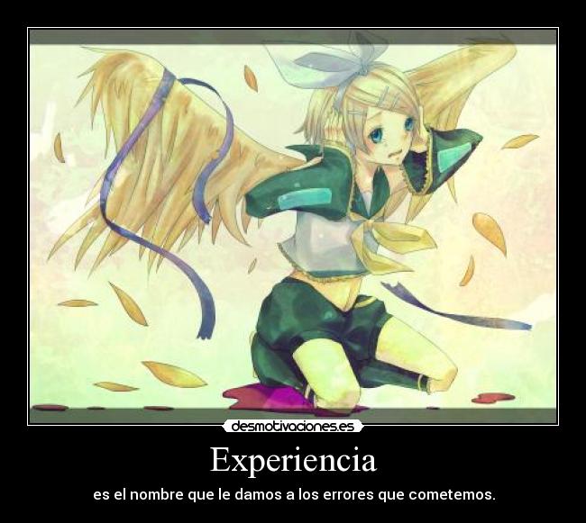 Experiencia - 