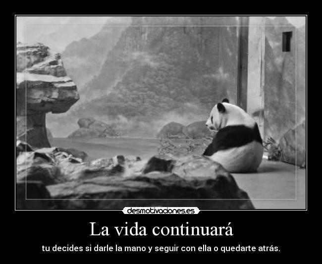 La vida continuará -