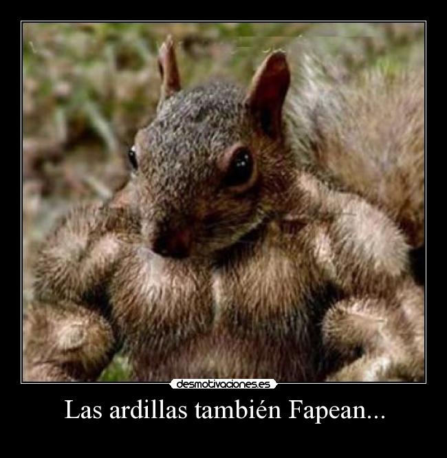 carteles las ardillas tambien fapean desmotivaciones